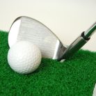 LANDLITE V2058T (TL701), modern golf lamp 1xJC-50W
