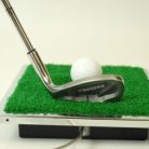 LANDLITE V2058T (TL701), modern golf lamp 1xJC-50W