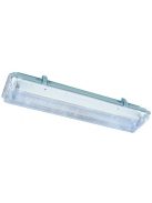 LANDLITE T5 tube, small size, CLF/2-28W (2X28W T5), IP65, Waterproof lamp with electronic ballast