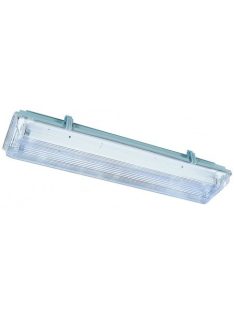   LANDLITE T5 tube, small size, CLF/2-28W (2X28W T5), IP65, Waterproof lamp with electronic ballast