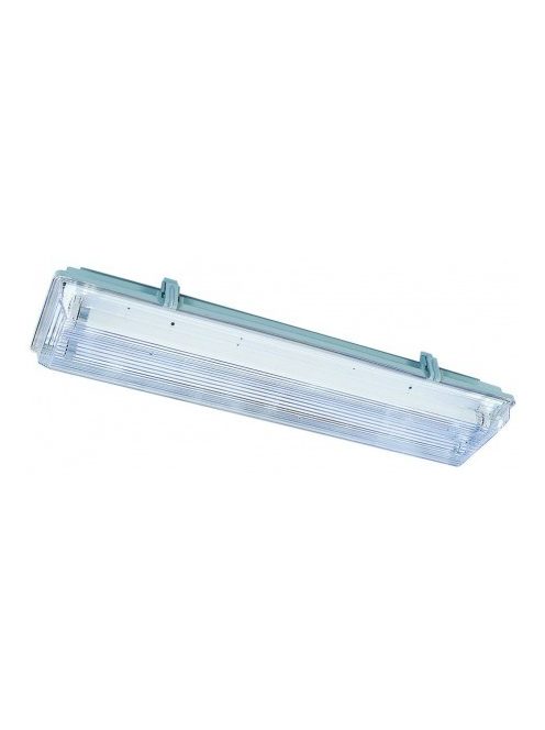 LANDLITE T5 tube, small size, CLF/2-28W (2X28W T5), IP65, Waterproof lamp with electronic ballast
