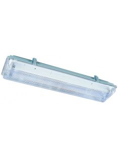   LANDLITE T5 tube, small size, CLF/2-35W (2X35W T5), IP65, Waterproof lamp with electronic ballast