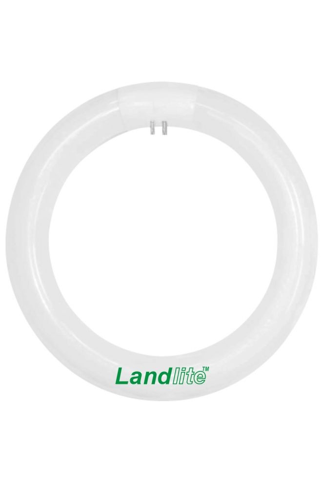 22w g10q best sale