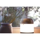 UVL-2020 UVC / Anion Air Germicidal Lamp + Mood Light 