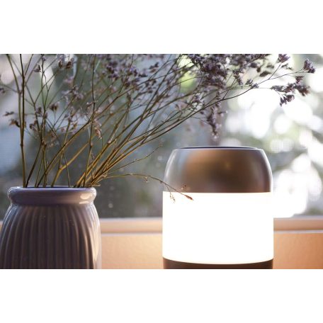 UVL-2020 UVC / Anion Air Germicidal Lamp + Mood Light 