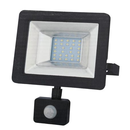 YRW30-WL76G, 30W, 6000K cool white, 2850lm, IP54, Black, LED Reflector, LED Floodlight with motion sensor