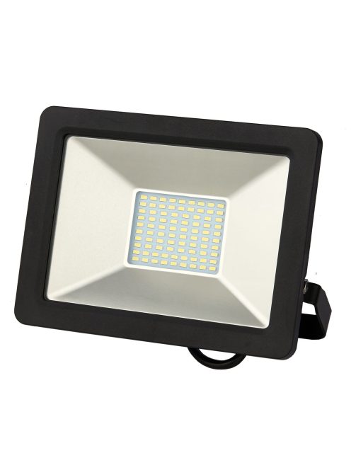 LANDLITE DF-51001C-50, 50W LED Floodlight, 3200K warm white, black 