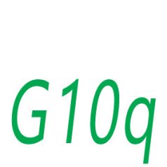 G10q Socket